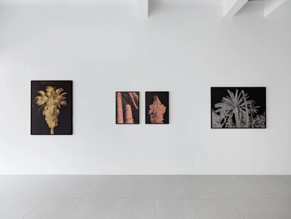 Mehdi-Georges Lahlou, The conference of the palm trees, exhibition view. Courtesy of Cuturi Gallery