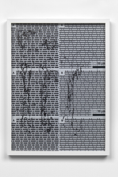 Lars Holdhus, D51D9A3A1A2B8BE166D22E705D51D0D9DE49E29A2DAF16316ED170B96B0A4F, 2014 Archival B/W print, permanent marker 30 x 40 x 3 cm / (11¾ x 15¾ x 1⅛ in), Image Courtesy of the artist and Blain|Southern. Photo: Todd White, 2014