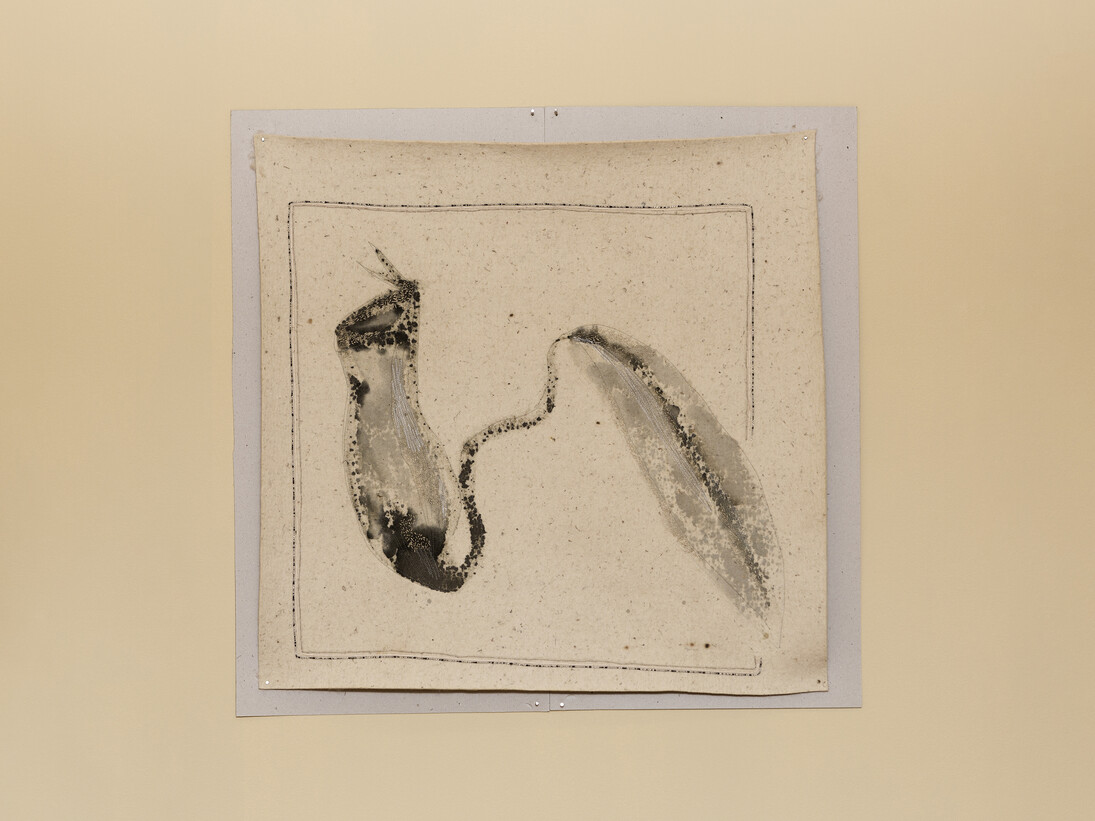 f.marquespenteado, Fotografia em Raio-X, 2002-2014, indutrial felt embroidery by hand and machine, Edition: N/A, 100 x 104 cm. Cortesia de Mendes Wood DM , São Paulo