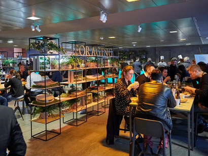 Foraging exibition in Taste 13