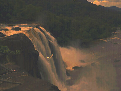 Athirapally Falls with an egret rising gracefully up, a sight to fill one with wonder @ Ashish Kothari