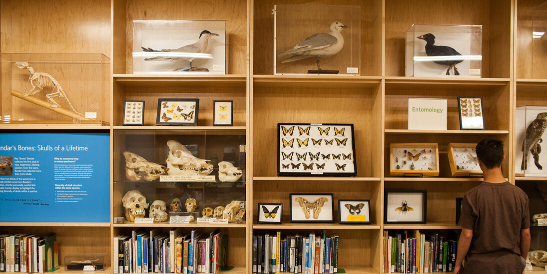 Naturalist Center. Courtesy of California Academy of Sciences