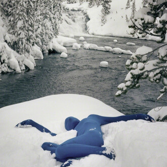 Orchid. seasons - winter. Courtesy of Crush Curatorial