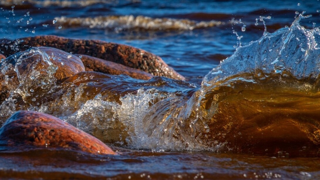 Fresh water