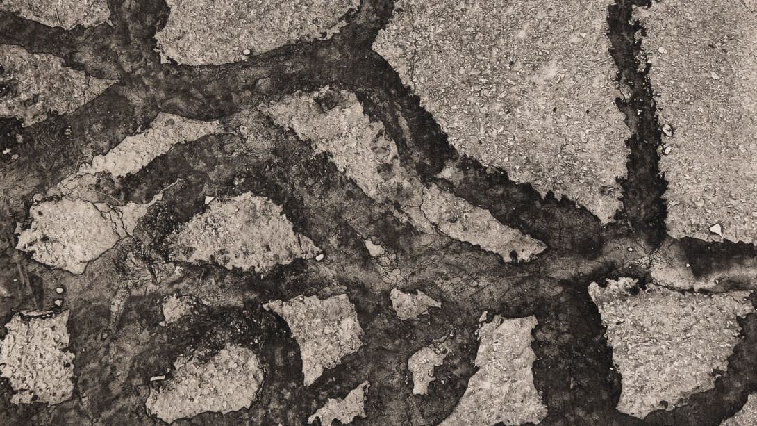 Heather Watkins, Path (Trace) (detail), 2025. Courtesy of PDX Contemporary Art