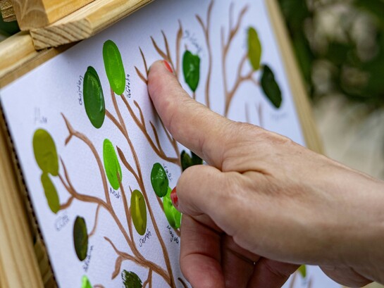 Ogni albero genealogico racconta una storia fatta di incontri casuali, scelte individuali, migrazioni, lutti e circostanze che hanno attraversato i secoli fino a noi