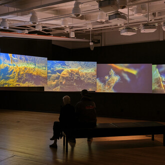 Various artists, Whiria ko te iwi tuna, exhibition view. Courtesy of Govett-Brewster Gallery