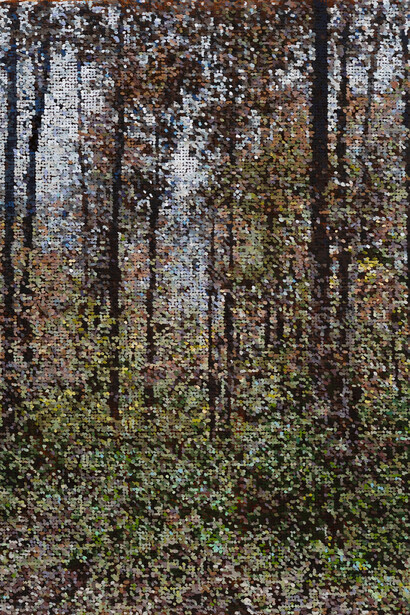 Kirstin Lamb, Fall in Lincoln woods, 2025. Courtesy of Gallery Naga