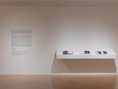 Real Worlds. Courtesy of MOCA