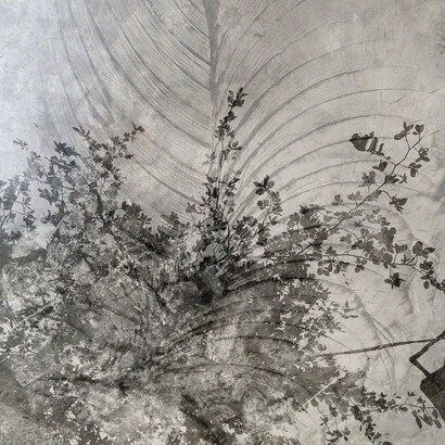 Augusta Wood. Courtesy of Denk gallery