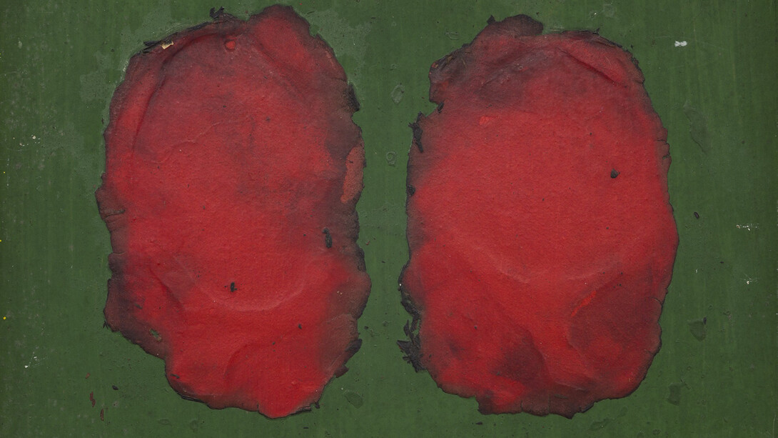 All images: Courtesy of the artist and Almine Rech Gallery © Sven Laurent - Let me shoot for you