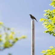 Photo by James Ewing, courtesy of Art Production Fund