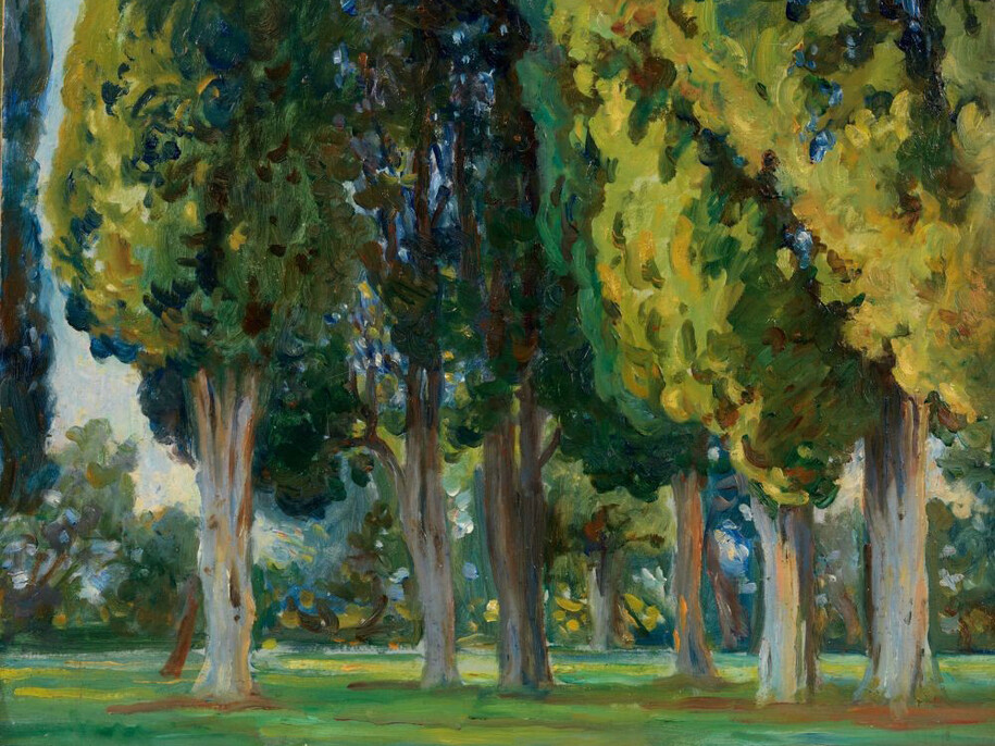 Jane Emmet de Glehn, Saint-Cassien, Afternoon Shadows, 1930, oil on board