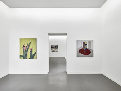 Lyn Liu, H-dropping, exhibition view. Courtesy of Kasmin Gallery