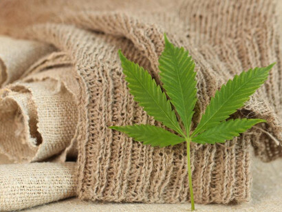 Hemp fabric: although hemp is from the same species as marijuana, it does not naturally contain THC