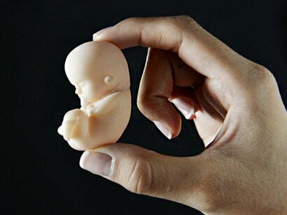 Una mano sostiene una figura de un feto