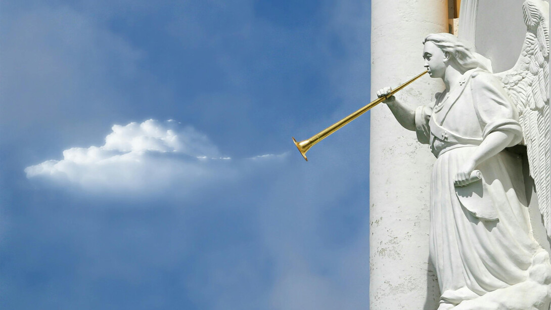 Dottorato e paradiso: una prospettiva umoristica sulla fuga dalla routine accademica