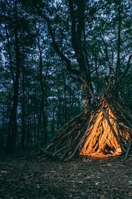 Oltre il fitto della boscaglia intravediamo una luce