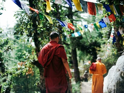 A Buddhist monk dressed in traditional saffron robes standing in a tranquil garden in Nepal, with green vegetation and temple structures in the background