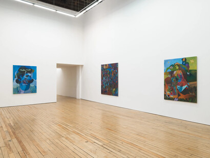 Joshua Petker, Artaud’s shoe, exhibition view. Courtesy of Rachel Uffner Gallery 