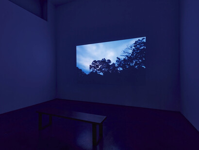 Allison Janae Hamilton, Celestine, exhibition view. Courtesy of Marianne Boesky Gallery