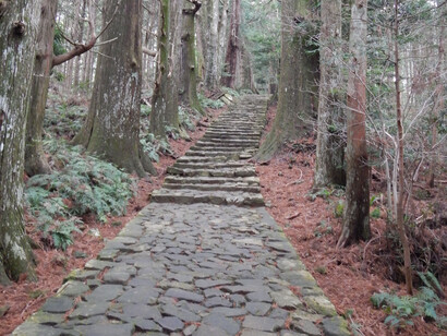 Cada paso es una plegaria entre más de cien santuarios. Ruta de peregrinación Kumano Kodo: Daimon-zaka, Patrimonio de la Humanidad. Cordillera de Kii, Kumano Kodo, Japón