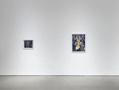 Ann Leda Shapiro, Through the tunnel, exhibition view. Courtesy of François Ghebaly Gallery