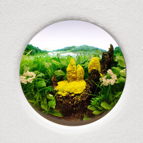 Yellow Slime Mold with Stump, 2015, Diorama viewed with 2 inch (5 cm) lens. Styrene, acrylic, cast neoprene, paper, ash, talc, starch, polyurethane foam, acrylite, vinyl film, wood, steel, lighting, BK7 glass. Concealed box dimensions: 14.75 x 11.25 x 9.25 inches