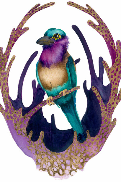 Plush Plumage
