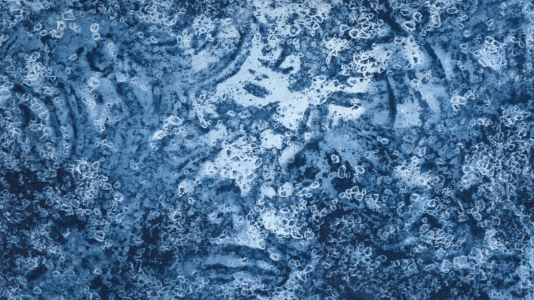 Fundamentals. Courtesy of Black Box Projects