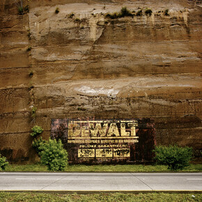 Rubens Mano, natureza privada (r) (detalhe), 2014, photography / 113 x 123 cm