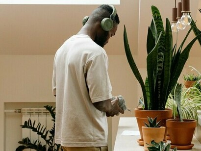 A person tending to a collection of healthy houseplants, symbolizing the positive impact of plants on everyday well-being