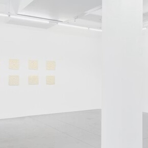 Sarah Pillen, From the field, exhibition view. Courtesy of Hopstreet Gallery