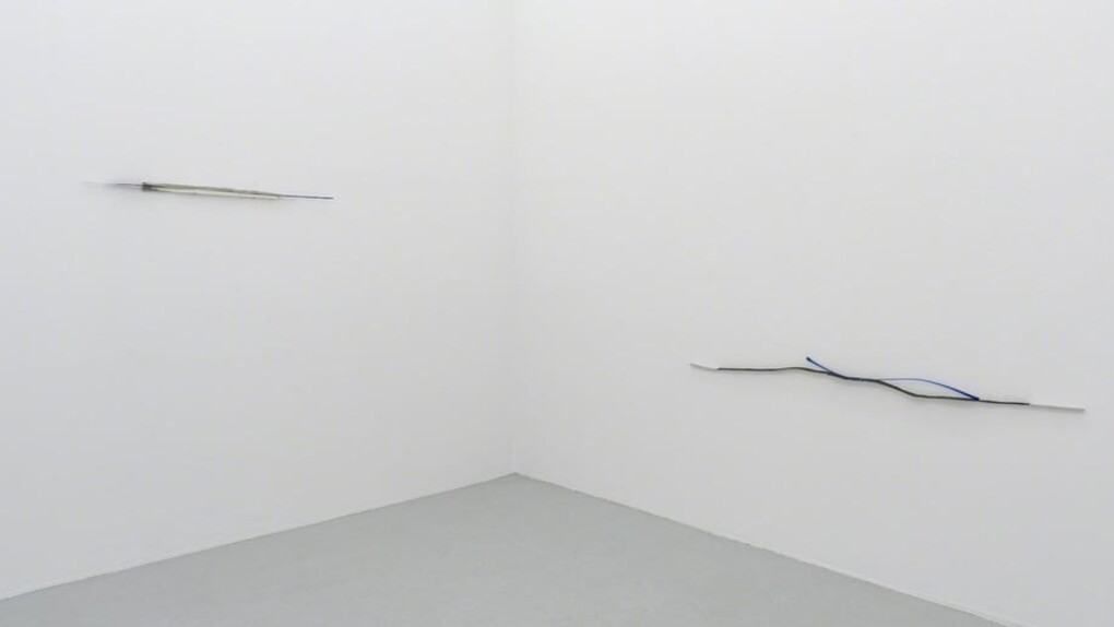 Alice Cattaneo. Courtesy of Galerie Hubert Winter