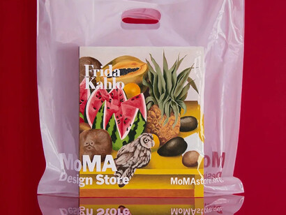 Carlos Vega, Frida Kahlo MOMA, 2024. Courtesy of Duque Arango Gallery