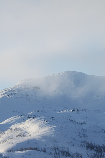 Catherine Opie, Untitled #2 (White mountain) (detail), 2024. Courtesy of Regen Projects