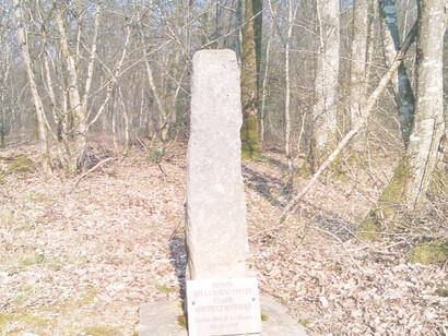 Menhir de la borne percée (Yonne – France)