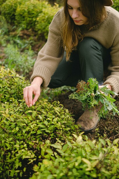 Agricoltura. Per vivere di agricoltura bisogna fare produzione intensiva, o coltivazioni particolari