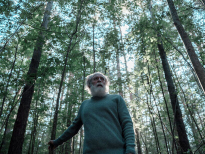 In the heart of the forest, caught between dreams and reality, seeking solace and understanding beyond the mundane