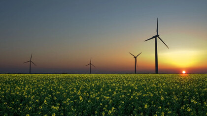 Campo de turbinas eólicas