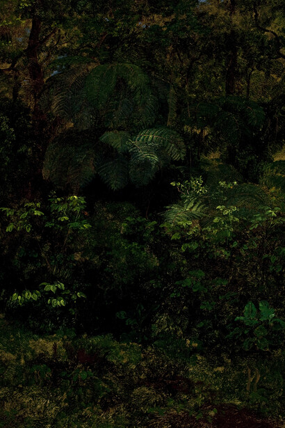 José María Velasco, Tropical forest in Xalapa, 1875. Courtesy of The National Gallery