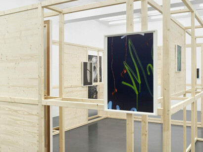Paul Hutchinson, Selected citizens, exhibition view. Courtesy of Sies+Höke Galerie 