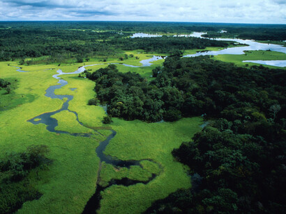 The Peruvian Amazon