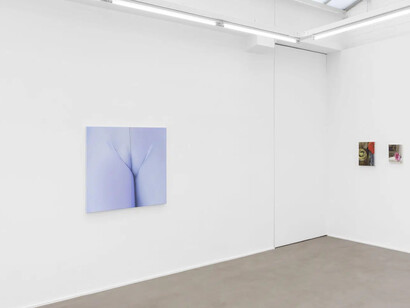 Various artists, Secret skins, exhibition view. Courtesy of Rodolphe Janssen Gallery