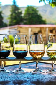 Degustazione di vini: "Il vino: è cultura, identità, storia, unità, disuguaglianza, esperienza sensoriale, vita"