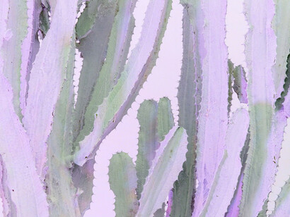 Andrew Dadson. Courtesy of The Contemporary Art Gallery