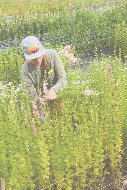Bio. L’importanza di conservare la biodiversità ha quindi guidato le scelte produttive