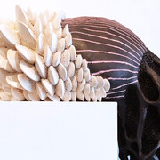 Ephemeral. Courtesy of BoxHeart