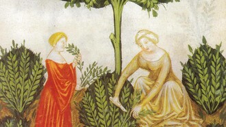 Tacuinum Sanitatis, XIV sec