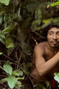 Un cazador awá, en la selva
